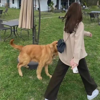 百花小姐