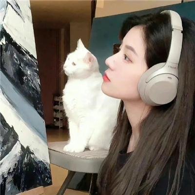 迷蝶