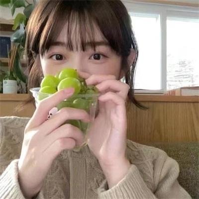 郊区的鸟